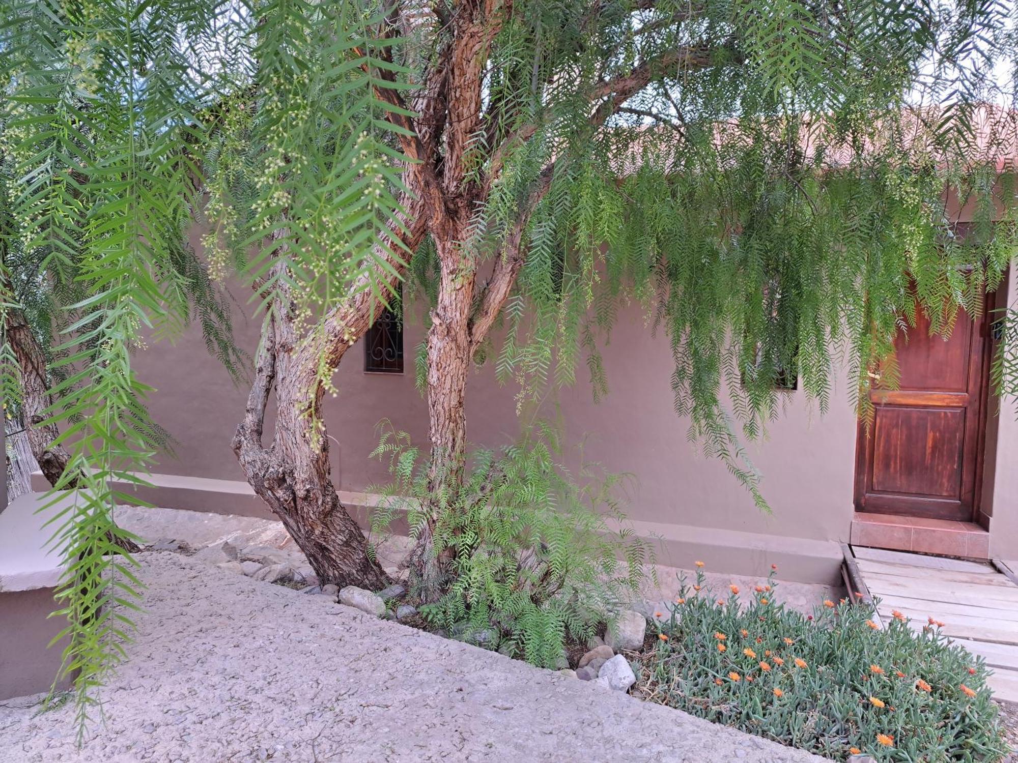 Casa En Tilcara Con Hermosa Vista Al Pucara Exteriör bild
